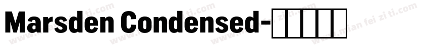 Marsden Condensed字体转换